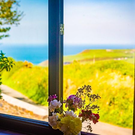 Polrunny Farm Elderberry Cottage With Sea View Boscastle Eksteriør billede