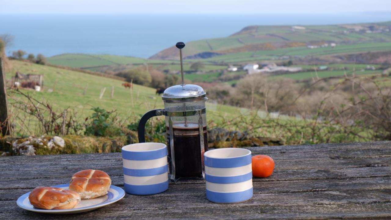 Polrunny Farm Elderberry Cottage With Sea View Boscastle Eksteriør billede