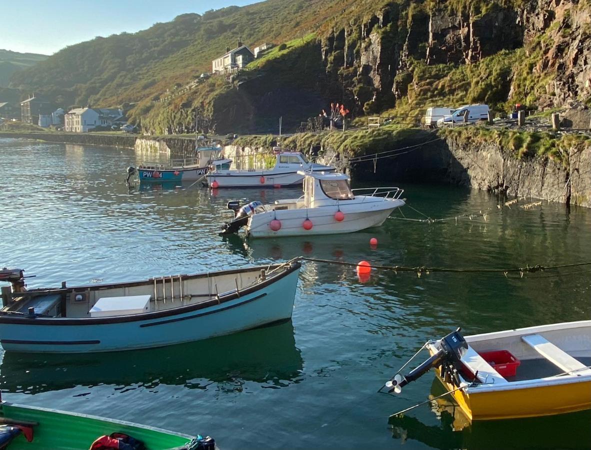 Polrunny Farm Elderberry Cottage With Sea View Boscastle Eksteriør billede