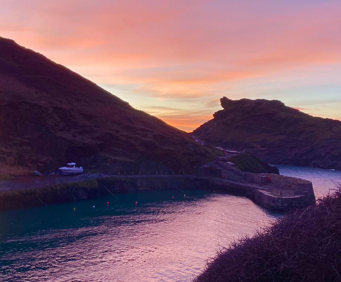 Polrunny Farm Elderberry Cottage With Sea View Boscastle Eksteriør billede