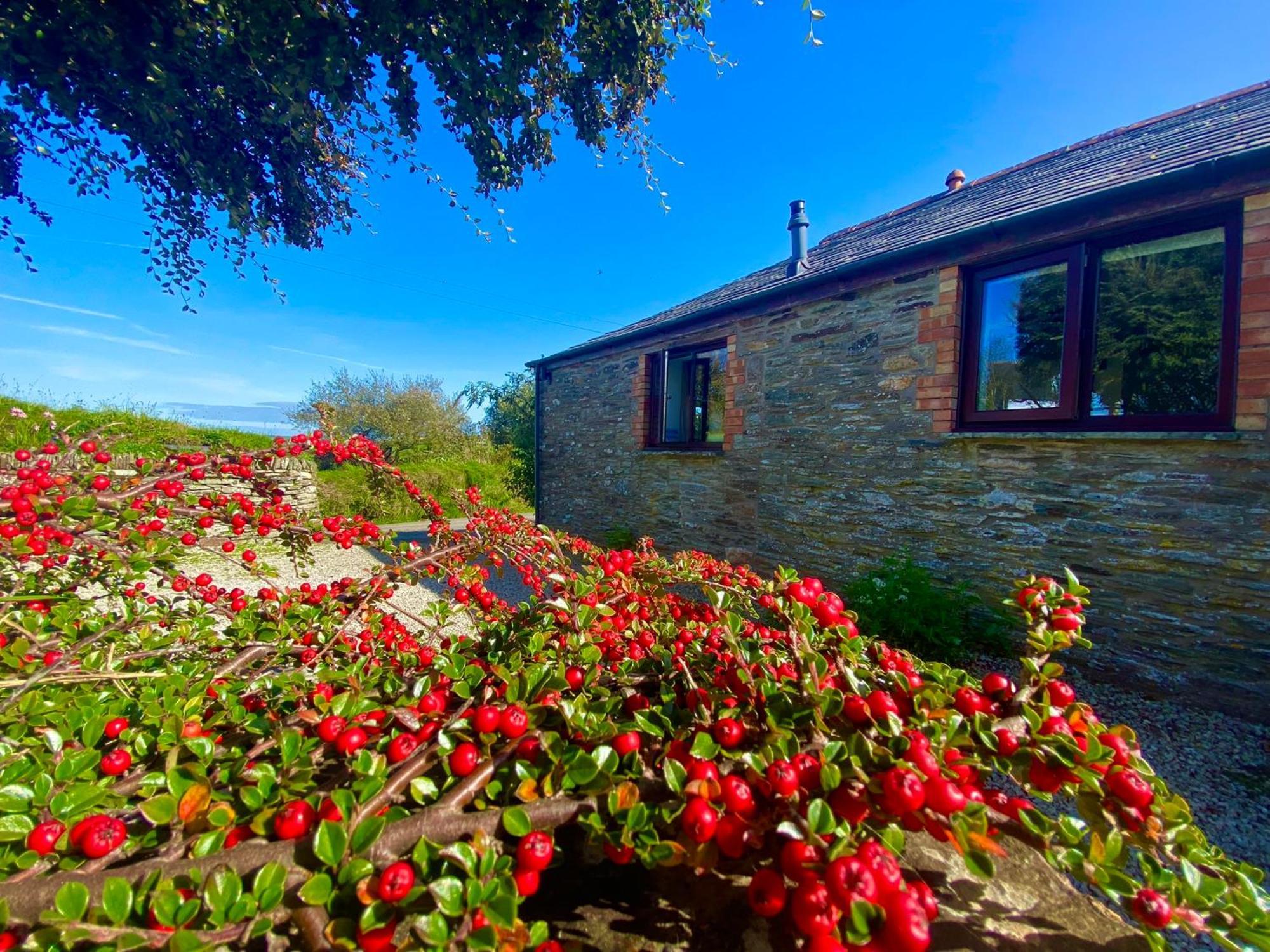 Polrunny Farm Elderberry Cottage With Sea View Boscastle Eksteriør billede